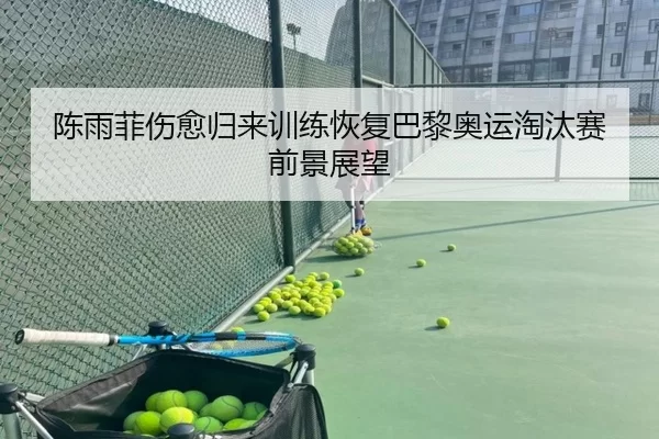 陈雨菲伤愈归来训练恢复巴黎奥运淘汰赛前景展望